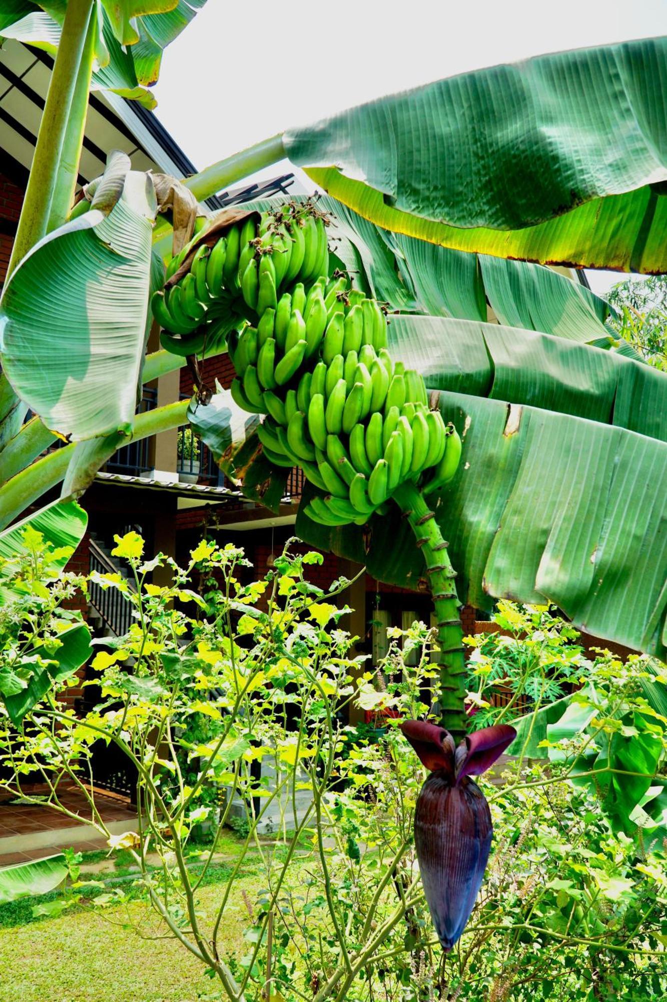 Hotel Millet'S Food Company And Cooking Center Negombo Exteriér fotografie