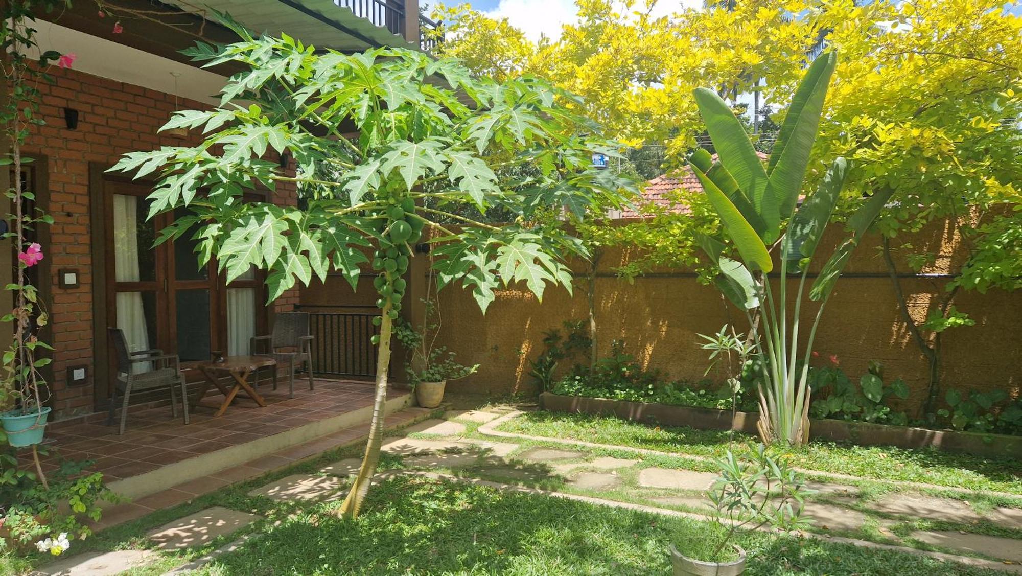 Hotel Millet'S Food Company And Cooking Center Negombo Exteriér fotografie