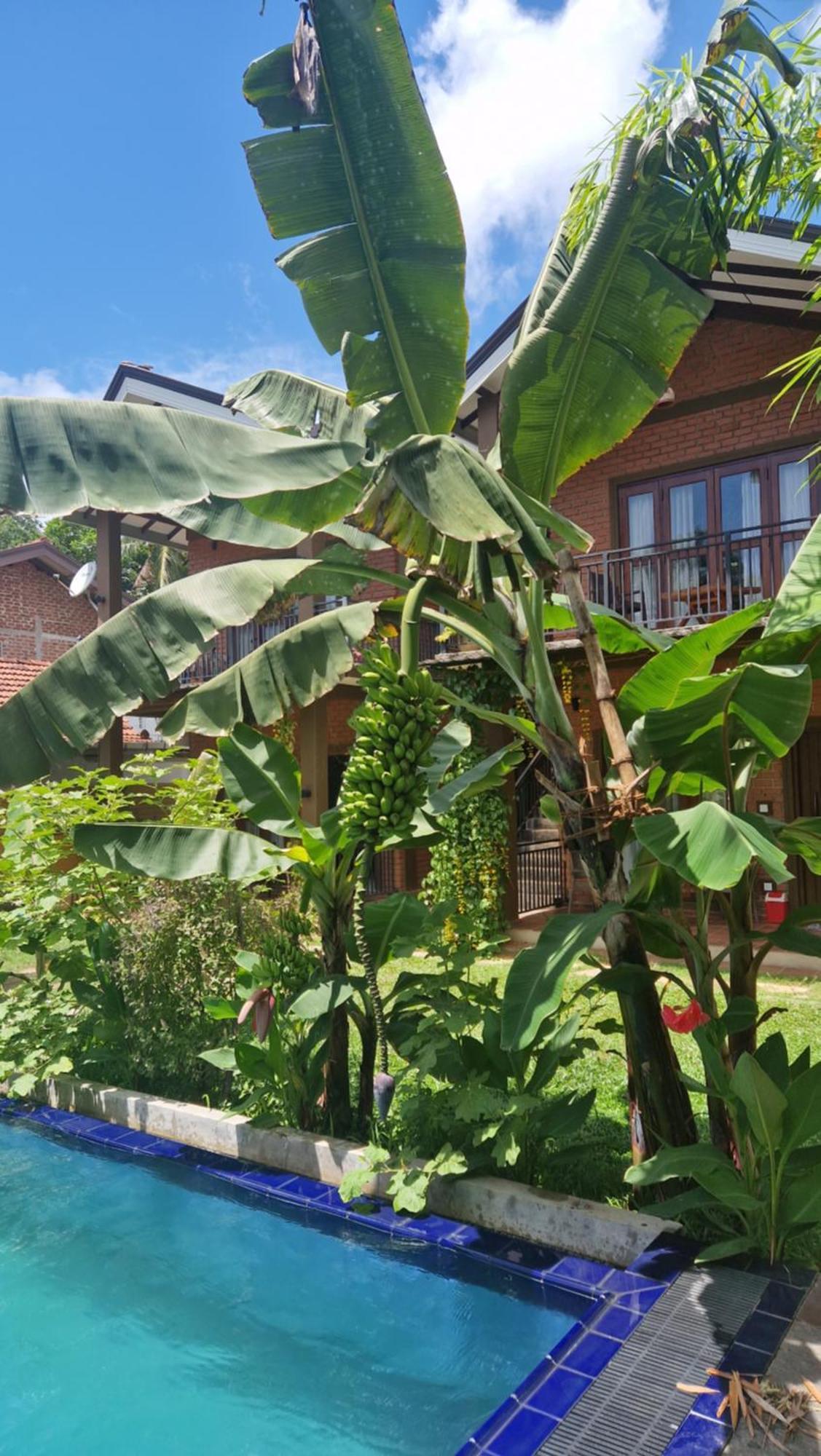 Hotel Millet'S Food Company And Cooking Center Negombo Exteriér fotografie